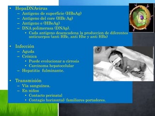 • HepaDNAvirus
– Antígeno de superficie (HBsAg)
– Antígeno del core (HBc Ag)
– Antígeno e (HBeAg)
– DNA polimerasa (DNAp).
• Cada antígeno desencadena la produccion de diferentes
anticuerpos (anti HBc, anti Hbe y anti HBs)
• Infección
– Aguda
– Crónica
• Puede evolucionar a cirrosis
• Carcinoma hepatocelular
– Hepatitis fulminante.
• Transmisión
– Vía sanguínea.
– En niños
• Contacto perinatal
• Contagio horizontal: familiares portadores.
 