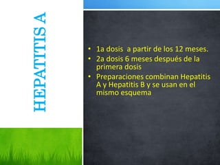 HEPATITIS
A • 1a dosis a partir de los 12 meses.
• 2a dosis 6 meses después de la
primera dosis
• Preparaciones combinan Hepatitis
A y Hepatitis B y se usan en el
mismo esquema
 