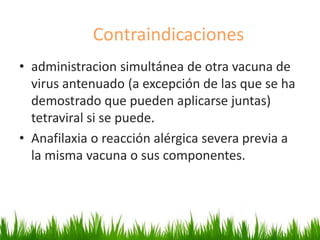 • administracion simultánea de otra vacuna de
virus antenuado (a excepción de las que se ha
demostrado que pueden aplicarse juntas)
tetraviral si se puede.
• Anafilaxia o reacción alérgica severa previa a
la misma vacuna o sus componentes.
Contraindicaciones
 