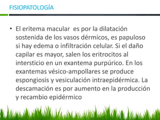 FISIOPATOLOGÍA
• El eritema macular es por la dilatación
sostenida de los vasos dérmicos, es papuloso
si hay edema o infiltración celular. Si el daño
capilar es mayor, salen los eritrocitos al
intersticio en un exantema purpúrico. En los
exantemas vésico-ampollares se produce
espongiosis y vesiculación intraepidérmica. La
descamación es por aumento en la producción
y recambio epidérmico
 