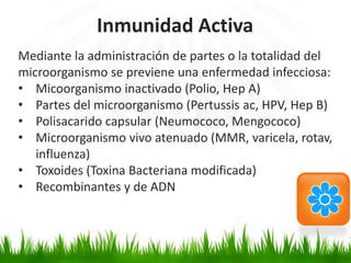 Mediante la administración de partes o la totalidad del
microorganismo se previene una enfermedad infecciosa:
• Micoorganismo inactivado (Polio, Hep A)
• Partes del microorganismo (Pertussis ac, HPV, Hep B)
• Polisacarido capsular (Neumococo, Mengococo)
• Microorganismo vivo atenuado (MMR, varicela, rotav,
influenza)
• Toxoides (Toxina Bacteriana modificada)
• Recombinantes y de ADN
Inmunidad Activa
 
