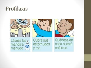 Profilaxis 
 