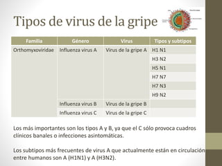 Tipos de virus de la gripe 
Familia Género Virus Tipos y subtipos 
Orthomyxoviridae Influenza virus A Virus de la gripe A H1 N1 
H3 N2 
H5 N1 
H7 N7 
H7 N3 
H9 N2 
Influenza virus B Virus de la gripe B 
Influenza virus C Virus de la gripe C 
Los más importantes son los tipos A y B, ya que el C sólo provoca cuadros 
clínicos banales o infecciones asintomáticas. 
Los subtipos más frecuentes de virus A que actualmente están en circulación 
entre humanos son A (H1N1) y A (H3N2). 
 