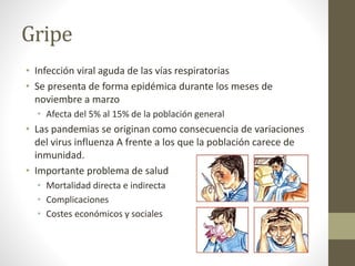 Gripe 
• Infección viral aguda de las vías respiratorias 
• Se presenta de forma epidémica durante los meses de 
noviembre a marzo 
• Afecta del 5% al 15% de la población general 
• Las pandemias se originan como consecuencia de variaciones 
del virus influenza A frente a los que la población carece de 
inmunidad. 
• Importante problema de salud 
• Mortalidad directa e indirecta 
• Complicaciones 
• Costes económicos y sociales 
 