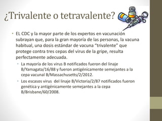 ¿Trivalente o tetravalente? 
• EL CDC y la mayor parte de los expertos en vacunación 
subrayan que, para la gran mayoría de las personas, la vacuna 
habitual, una dosis estándar de vacuna “trivalente” que 
protege contra tres cepas del virus de la gripe, resulta 
perfectamente adecuada. 
• La mayoría de los virus B notificados fueron del linaje 
B/Yamagata/16/88 y fueron antigénicamente semejantes a la 
cepa vacunal B/Massachusetts/2/2012. 
• Los escasos virus del linaje B/Victoria/2/87 notificados fueron 
genética y antigénicamente semejantes a la cepa 
B/Brisbane/60/2008. 
 