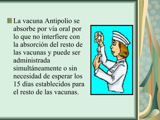 La vacuna Antipolio se absorbe por vía oral por lo que no interfiere con la absorción del resto de las vacunas y puede ser administrada simultáneamente o sin necesidad de esperar los 15 días establecidos para el resto de las vacunas.   