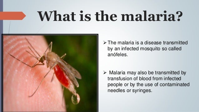 Phd thesis on malaria