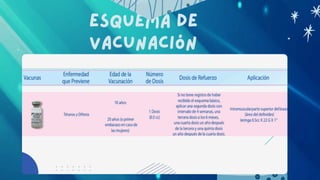 Dt Injection Comprehensive Guide to dT Vaccine for Adults: Protection Against ...