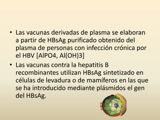 Vacuna del virus de la hepatitis b | PPTX