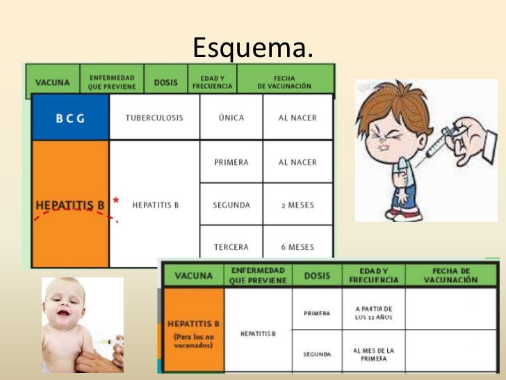 Vacuna del virus de la hepatitis b
