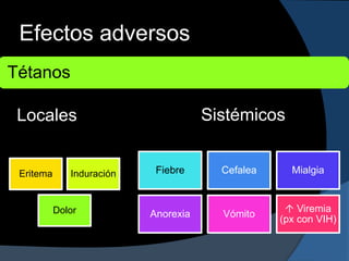 Efectos adversos
Tétanos

 Locales                              Sistémicos


 Eritema      Induración    Fiebre      Cefalea     Mialgia


           Dolor                                    Viremia
                           Anorexia     Vómito
                                                  (px con VIH)
 