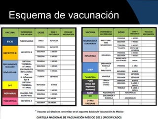Esquema de vacunación
 