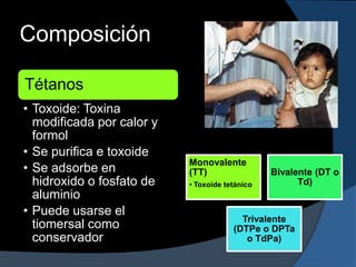 Composición

Tétanos
• Toxoide: Toxina
  modificada por calor y
  formol
• Se purifica e toxoide
                           Monovalente
• Se adsorbe en            (TT)                 Bivalente (DT o
  hidroxido o fosfato de   • Toxoide tetánico         Td)
  aluminio
• Puede usarse el
                                         Trivalente
  tiomersal como                       (DTPe o DPTa
  conservador                             o TdPa)
 