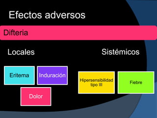 Efectos adversos
Difteria

 Locales                              Sistémicos

  Eritema     Induración
                           Hipersensibilidad
                                               Fiebre
                                tipo III

           Dolor
 