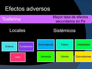 Efectos adversos
                                         Mayor tasa de efectos
Tosferina                                 secundarios en Pa

    Locales                                Sistémicos

                             Somnolencia      Fiebre     Irritabilidad
 Eritema       Tumefacción



           Dolor              Anorexia        Vómito    Convulsiones
 