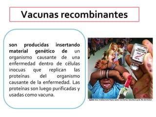 Vacunas recombinantes
son producidas insertando
material genético de un
organismo causante de una
enfermedad dentro de células
inocuas que replican las
proteínas del organismo
causante de la enfermedad. Las
proteínas son luego purificadas y
usadas como vacuna.
 