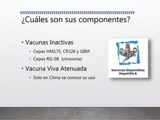 ¿Cuáles son sus componentes?
• Vacunas Inactivas
• Cepas HM175, CR326 y GBM
• Cepas RG-SB (virosoma)
• Vacuna Viva Atenuada
• Solo en China se conoce su uso
 