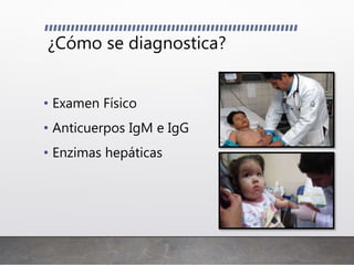 ¿Cómo se diagnostica?
• Examen Físico
• Anticuerpos IgM e IgG
• Enzimas hepáticas
 