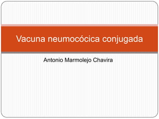 Vacuna neumocócica conjugada

      Antonio Marmolejo Chavira
 