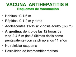 Habitual: 0-1-6 m Rápidos: 0-1-2 m y otros Adolescentes 11-15 a: 2 dosis adulto (0-6 m) Argentina:  dentro de las 12 horas de vida-2-4-6 m (las 3 últimas dosis como pentavalente) con catch up a los 11 años  No reiniciar esquema Posibilidad de intercambiar marcas VACUNA  ANTIHEPATITIS B  Esquemas de Vacunación 