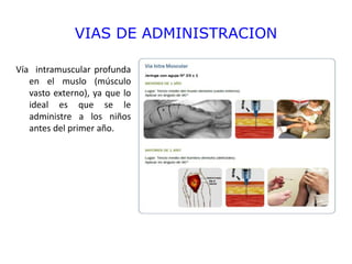 VIAS DE ADMINISTRACION
Vía intramuscular profunda
en el muslo (músculo
vasto externo), ya que lo
ideal es que se le
administre a los niños
antes del primer año.
 