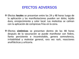 EFECTOS ADVERSOS
 Efectos locales se presentan entre las 24 y 48 horas luego de
la aplicación y las manifestaciones pueden ser dolor, tejido
duro, enrojecimiento y calor local. Las molestias se calman
con la aplicación de compresas frías en la zona.
 Efectos sistémicos se presentan dentro de las 48 horas
después de la vacunación se puede manifestar con fiebre,
llanto persistente e incontrolable, genera somnolencia,
irritabilidad y malestar general, rara vez rash, reacciones
anafilácticas y urticaria.
 