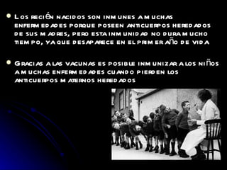 Los recién nacidos son inmunes a muchas enfermedades porque poseen anticuerpos heredados de sus madres, pero esta inmunidad no dura mucho tiempo, ya que desaparece en el primer año de vida Gracias a las vacunas es posible inmunizar a los niños a muchas enfermedades cuando pierden los anticuerpos maternos heredados 