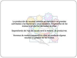 La producción de vacunas consiste en reproducir en grandes cantidades a las bacterias o virus vacunales, fragmentos de los mismos o productos derivados de ellos.Dependiendo del tipo de vacuna será la manera  de producirse. Veremos de manera esquemática cómo se producen algunas vacunas y ejemplos de las mismas.