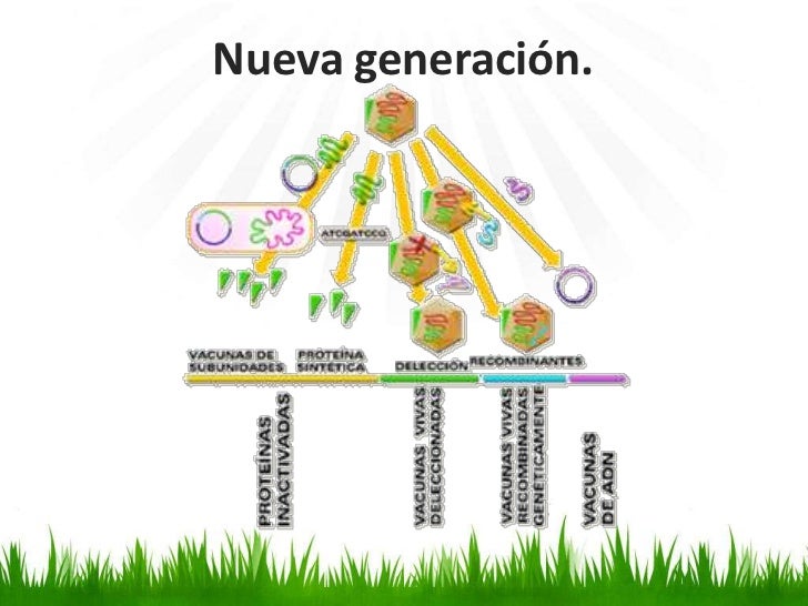 Resultado de imagen para Las vacunas de la nueva generación