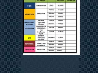 Esquema Basico




                 Page 13
 