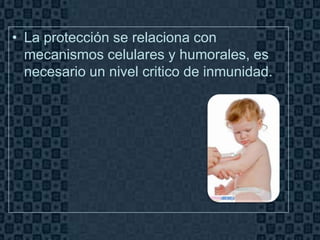 • La protección se relaciona con
  mecanismos celulares y humorales, es
  necesario un nivel critico de inmunidad.




                                             Page 4
 