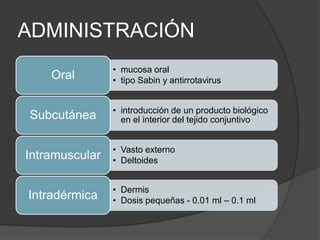 ADMINISTRACIÓN
                • mucosa oral
    Oral        • tipo Sabin y antirrotavirus


                • introducción de un producto biológico
Subcutánea        en el interior del tejido conjuntivo


                • Vasto externo
Intramuscular   • Deltoides


                • Dermis
Intradérmica    • Dosis pequeñas - 0.01 ml – 0.1 ml
 