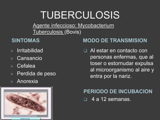 TUBERCULOSIS
        Agente infeccioso: Mycobacterium
        Tuberculosis (Bovis)
SINTOMAS                   MODO DE TRANSMISION
 Irritabilidad               Al estar en contacto con
 Cansancio                    personas enfermas, que al
 Cefalea
                               toser o estornudar expulsa
                               al microorganismo al aire y
 Perdida de peso
                               entra por la nariz.
 Anorexia
 Vomito
                           PERIODO DE INCUBACION
                            4 a 12 semanas.
 