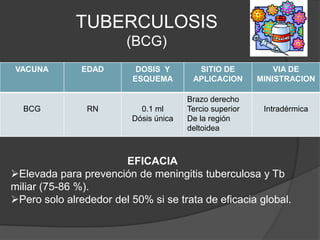 TUBERCULOSIS
                        (BCG)
VACUNA         EDAD        DOSIS Y       SITIO DE            VIA DE
                          ESQUEMA       APLICACION       MINISTRACION

                                       Brazo derecho
  BCG           RN         0.1 ml      Tercio superior    Intradérmica
                         Dósis única   De la región
                                       deltoidea



                       EFICACIA
Elevada para prevención de meningitis tuberculosa y Tb
miliar (75-86 %).
Pero solo alrededor del 50% si se trata de eficacia global.
 