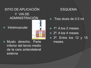 SITIO DE APLICACIÓN                     ESQUEMA
      Y VIA DE
   ADMINISTRACIÓN               ♣   Tres dosis de 0.5 ml

♣   Intramuscular               ♣   1ª. A los 2 meses.
                                ♣   2ª. A los 4 meses
                                ♣   3ª. Entre los 12 y 15
♣   Muslo derecho. Parte            meses.
    inferior del tercio medio
    de la cara anterolateral
    externa
 