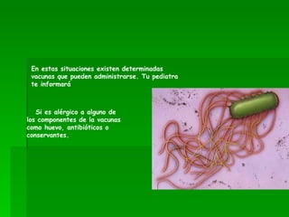 En estas situaciones existen determinadas vacunas que pueden administrarse. Tu pediatra te informará   Si es alérgico a alguno de los componentes de la vacunas como huevo, antibióticos o conservantes. 