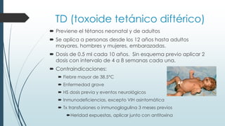 TD (toxoide tetánico diftérico)
 Previene el tétanos neonatal y de adultos
 Se aplica a personas desde los 12 años hasta adultos
mayores, hombres y mujeres, embarazadas.
 Dosis de 0.5 ml cada 10 años. Sin esquema previo aplicar 2
dosis con intervalo de 4 a 8 semanas cada una.
 Contraindicaciones:
 Fiebre mayor de 38.5°C
 Enfermedad grave
 HS dosis previa y eventos neurológicos
 Inmunodeficiencias, excepto VIH asintomática
 Tx transfusiones o inmunoglogulina 3 meses previos
Heridad expuestas, aplicar junto con antitoxina
 