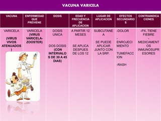 VACUNA ENFERMEDAD
QUE
PREVIENE
DOSIS EDAD Y
FRECUENCIA
DE
APLICACION
LUGAR DE
APLICACION
EFECTOS
SECUNDARIO
S
CONTRAINDICA
CIONES
VARICELA
(VIRUS
VIVOS
ATENUADOS
)
VARICELA
(VIRUS
VARICELA-
ZOOSTER)
DOSIS
UNICA
DOS DOSIS
(CON
INTERVALO
S DE 30 A 45
DIAS)
A PARTIR 12
MESES
SE APLICA
DESPUES
DE LOS 12
SUBCUTANE
A
SE PUEDE
APLICAR
JUNTO CON
LA SRP.
-DOLOR
-
ENROJECI
MIENTO
TUMEFACC
ION
-RASH
-PX. TIENE
FIEBRE
-
MEDICAMENT
OS
INMUNOSUPR
ESORES
VACUNA VARICELA
 