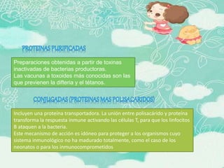 Preparaciones obtenidas a partir de toxinas
inactivadas de bacterias productoras.
Las vacunas a toxoides más conocidas son las
que previenen la difteria y el tétanos.
Incluyen una proteína transportadora. La unión entre polisacárido y proteína
transforma la respuesta inmune activando las células T, para que los linfocitos
B ataquen a la bacteria.
Este mecanismo de acción es idóneo para proteger a los organismos cuyo
sistema inmunológico no ha madurado totalmente, como el caso de los
neonatos o para los inmunocomprometidos
 