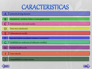 SIG 
protección de larga duración. 
INMUNIDAD SATISFACTORIA A CUALQUIER EDAD. 
Administración a los recién nacidos. 
Dosis única (idealmente). 
Administración sencilla. 
Seguridad (efectos secundarios mínimos o inexistentes). 
Estabilidad (en condiciones de utilización variables). 
Facilidad de fabricación. 
Costo reducido. 
Compatibilidad con otras vacunas. 
A 
B 
C 
D 
E 
F 
G 
H 
I 
J 
 
