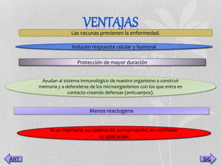 SIG 
Las vacunas previenen la enfermedad. 
Inducen respuesta celular y humoral 
Protección de mayor duración 
Ayudan al sistema inmunológico de nuestro organismo a construir 
memoria y a defenderse de los microorganismos con los que entra en 
contacto creando defensas (anticuerpos). 
Menos reactogena 
Si se mantiene su cadena de conservación, es confiable 
su aplicación 
 