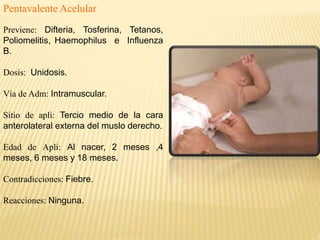 Pentavalente Acelular
Previene: Difteria, Tosferina, Tetanos,
Poliomelitis, Haemophilus e Influenza
B.
Dosis: Unidosis.
Vía de Adm: Intramuscular.
Sitio de apli: Tercio medio de la cara
anterolateral externa del muslo derecho.
Edad de Apli: Al nacer, 2 meses ,4
meses, 6 meses y 18 meses.
Contradicciones: Fiebre.
Reacciones: Ninguna.
 