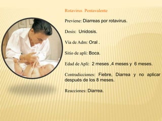 Rotavirus Pentavalente
Previene: Diarreas por rotavirus.
Dosis: Unidosis.
Vía de Adm: Oral .
Sitio de apli: Boca.
Edad de Apli: 2 meses ,4 meses y 6 meses.
Contradicciones: Fiebre, Diarrea y no aplicar
después de los 8 meses.
Reacciones: Diarrea.
 