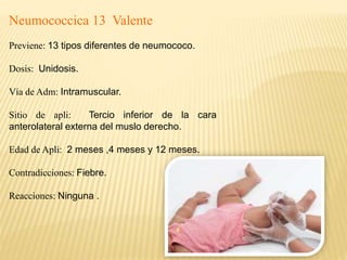 Neumococcica 13 Valente
Previene: 13 tipos diferentes de neumococo.
Dosis: Unidosis.
Vía de Adm: Intramuscular.
Sitio de apli: Tercio inferior de la cara
anterolateral externa del muslo derecho.
Edad de Apli: 2 meses ,4 meses y 12 meses.
Contradicciones: Fiebre.
Reacciones: Ninguna .
 