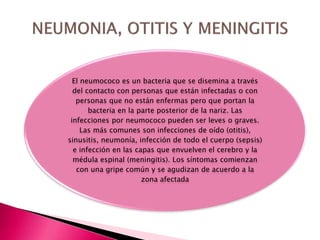 El neumococo es un bacteria que se disemina a través
del contacto con personas que están infectadas o con
personas que no están enfermas pero que portan la
bacteria en la parte posterior de la nariz. Las
infecciones por neumococo pueden ser leves o graves.
Las más comunes son infecciones de oído (otitis),
sinusitis, neumonía, infección de todo el cuerpo (sepsis)
e infección en las capas que envuelven el cerebro y la
médula espinal (meningitis). Los síntomas comienzan
con una gripe común y se agudizan de acuerdo a la
zona afectada
 