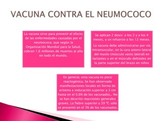 La vacuna sirve para prevenir el efecto
de las enfermedades causadas por el
neumococo, que según la
Organización Mundial para la Salud,
cobran 1,6 millones de muertes al año
en todo el mundo.
Se aplican 2 dosis: a los 2 y a los 4
meses, y un refuerzo a los 12 meses.
La vacuna debe administrarse por vía
intramuscular, en la cara antero lateral
del muslo (músculo vasto lateral) en
lactantes o en el músculo deltoides en
la parte superior del brazo en niños
En general, esta vacuna es poco
reactogénica. Se han observado
manifestaciones locales en forma de
eritema e induración superior a 3 cm
hasta en el 0,6% de los vacunados,. No
se han descrito reacciones generales
graves. La fiebre superior a 39 ºC sólo
se presentó en el 3% de los vacunados.
 
