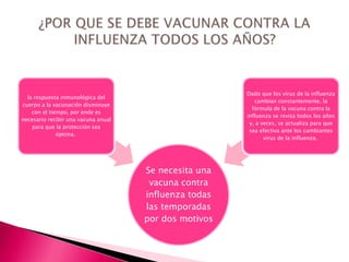Se necesita una
vacuna contra
influenza todas
las temporadas
por dos motivos
la respuesta inmunológica del
cuerpo a la vacunación disminuye
con el tiempo, por ende es
necesario recibir una vacuna anual
para que la protección sea
óptima.
Dado que los virus de la influenza
cambian constantemente, la
fórmula de la vacuna contra la
influenza se revisa todos los años
y, a veces, se actualiza para que
sea efectiva ante los cambiantes
virus de la influenza.
 
