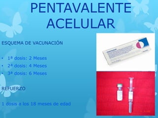 PENTAVALENTE
ACELULAR
ESQUEMA DE VACUNACIÓN
• 1ª dosis: 2 Meses
• 2ª dosis: 4 Meses
• 3ª dosis: 6 Meses
REFUERZO
1 dosis a los 18 meses de edad
 