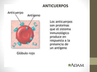 ANTICUERPOS
 