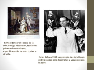 Jonas Salk en 1955 sosteniendo dos botellas de
cultivo usadas para desarrollar la vacuna contra
la polio.
Edward Jenner el «padre de la
inmunología moderna», realizó las
primeras inoculaciones,
específicamente vacunas contra la
viruela.
 